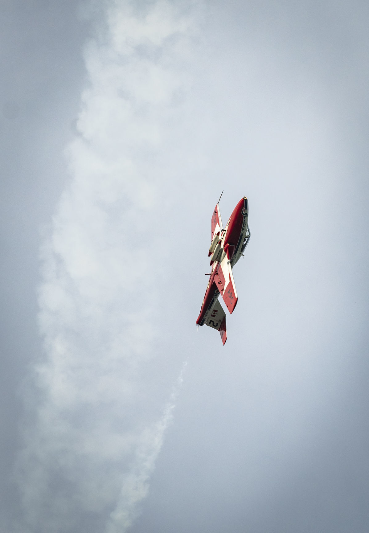 Snowbirds